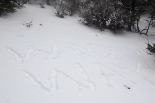 Vi besluttede at advarer eventuelle andre vandrere med et "wrong way" i sneen, før vi vendte om.
